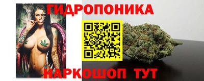 гидропоника Пушкино