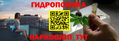 гидропоника Пушкино