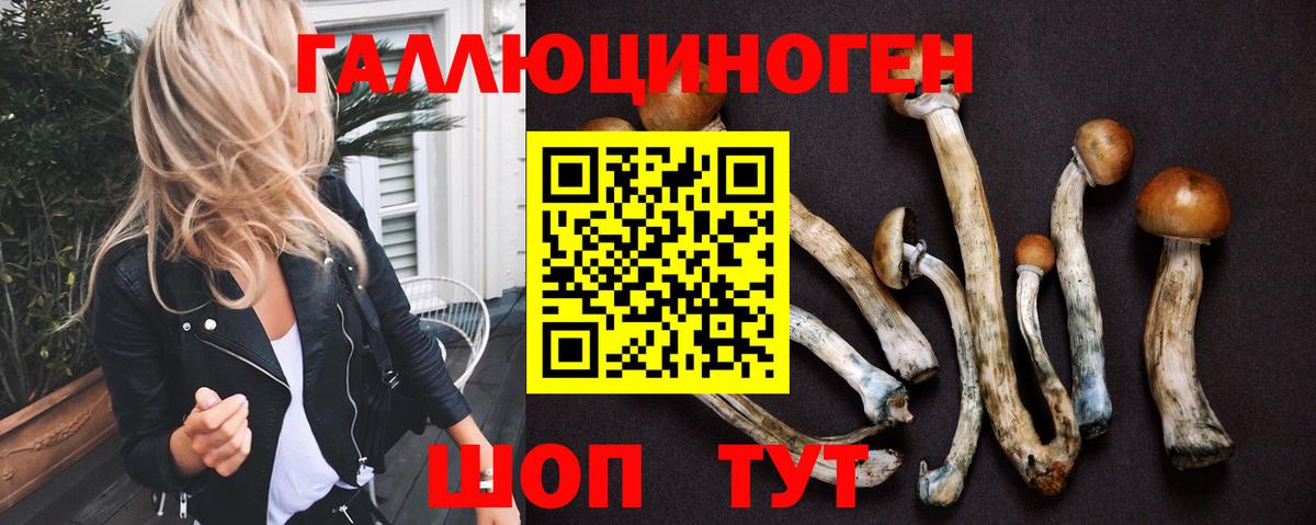Галлюциногенные грибы Psilocybine cubensis  Псилоцибиновые грибы Magic Shrooms  Туапсе  Вход с VPN 