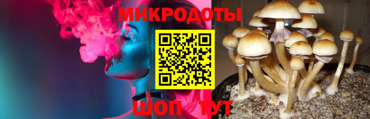 Галлюциногенные грибы Cubensis Туапсе